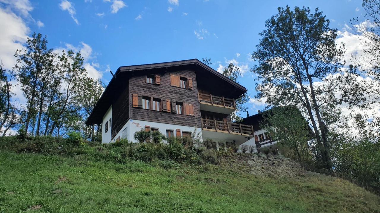 Chalet Carpe Diem Fieschertal Extérieur photo