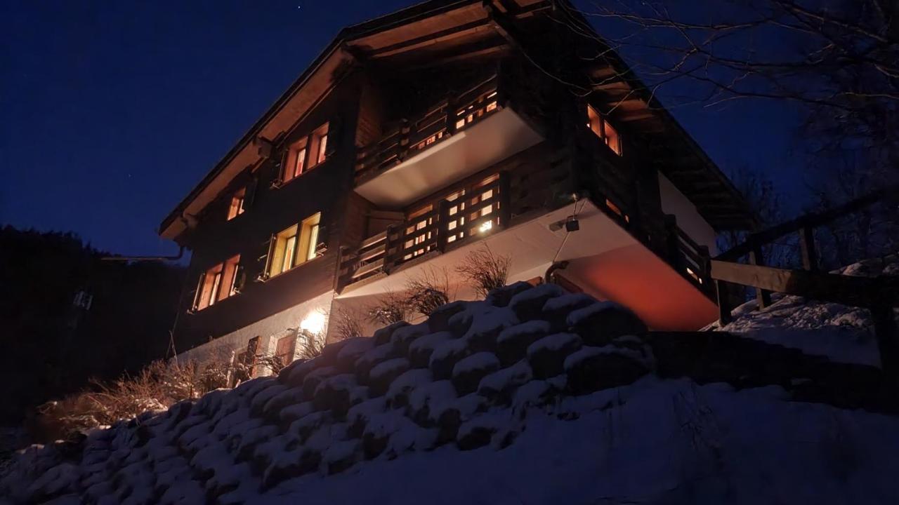 Chalet Carpe Diem Fieschertal Extérieur photo